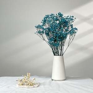 Fleurs de Gypsophile Séchées en Vrac - Nouveauté 2025 Décoration de Mariage Cadeaux de la Saint-Valentin Décoration Intérieure Florale Sabe - Product Image 2