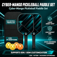 Ensemble de raquettes de pickleball en fibre de verre de haute qualité avec noyau en nid d'abeille pour enfants et adultes - Activités d'entraînement en club et divertissement