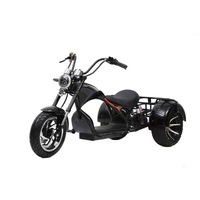 Tricycle électrique style Harley, 3 roues, moteur 1000W, batterie au lithium 60V20AH, avec porte-bagages arrière et dossier