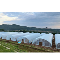Serre agricole multi-travées à structure en acier de grande taille avec des largesurs de 8m/10m/12m pour la production agricole commerciale