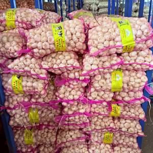 Ajo Fresco Sinofarm 2025, Semillas de Ajo de Nueva Cosecha para Plantar, 1KG 5KG, Alho Bawang Putih, Ajo Orgánico, Verdura Fresca, Cebolla, Ajo - Product Image 2