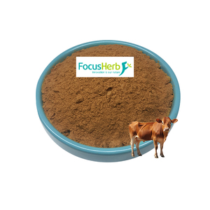 FocusHerb - Extracto de Riñón Bovino de Alimentación Natural, Polvo de Riñón de Res Puro, Venta al por Mayor en Almacén de EE. UU. - Product Image 2