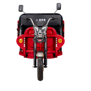 <span class=keywords><strong>Triciclo</strong></span> Eléctrico de Carga FGQ de 3 Ruedas con Carrocería Abierta, Gran Capacidad de Carga de 600 kg, Económico de Fábrica, 30-50 km/h, Autonomía de 70-90 km, para Frutas - Product Image 3