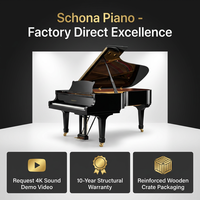 Factory-Customized High-End Concert Acoustic Grand Pianos 88-Key Solid-Wood Mechanical Keyboards Beffa Hammer Professional