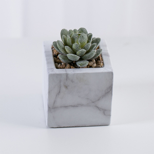 Mini Casa de plástico decoración suculentas Bonsai Artificial planta <span class=keywords><strong>en</strong></span> mármol de cemento Pot - Product Image 3