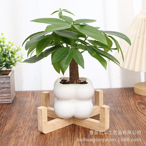 Simple <b>succulent</b> planter stand, office desk decoration, creative home flower <b>pot</b> rack, cross-border cat bowl bamboo and wood - Product Image 1