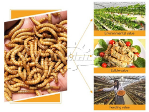 Machine de tri des vers de farine machine de séparation des vers de farine machine de séparation tenebrio molitor sans poussière - Product Image 2