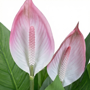 Plante artificielle de lys de la paix, plante en pot décorative d'intérieur, plante verte haut de gamme pour la maison, le bureau, le hall d'hôtel, les événements - Product Image 3