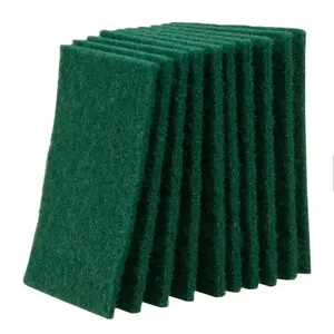 Green Kitchen Scouring Pad Scourer