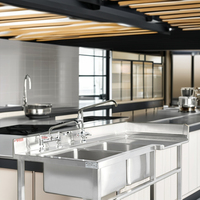 Évier double en acier inoxydable pour cuisine commerciale avec design moderne et taille personnalisée pour restaurants et hôtels