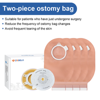 Zodelo Grossiste CE 10 pièces/boîte Sacs de colostomie à deux pièces avec fermeture auto-agrippante Classe I pour soins d'ostomie et d'iléostomie