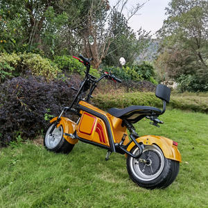 Scooter Eléctrico Citycoco <span class=keywords><strong>2021</strong></span> de 1000W con Ruedas Reforzadas y Neumáticos Gruesos, Homologación EEC/COC, Potencia de hasta 3000W, para Adultos, Venta al por Mayor - Product Image 6