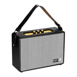 Hersteller Lieferant Flame Cover Speaker Grill Befestigungs stifte für Gitarren verstärker