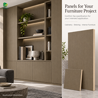 Panneau de contreplaqué plaqué en placage de bois gris Jinbase W-KJ-219, qualité E0, 1220x2440mm (4x8), pour meubles de maison et d'hôtel