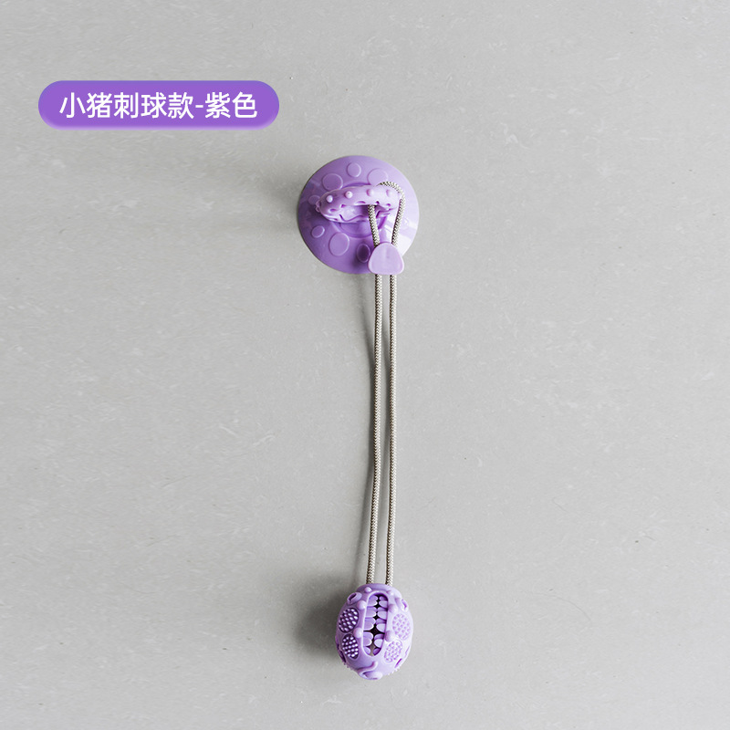 Boule d'épine de porcelet-violet