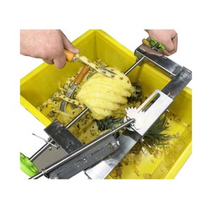 Machine à éplucher et à trancher l'ananas, modèle commercial de renommée mondiale - Product Image 6