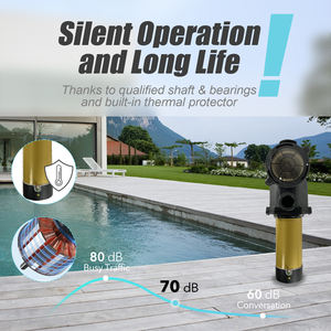 Pompe de piscine enterrée JADE 2HP double tension 115/220Vac, débit max. 6480 GPH, hauteur de refoulement max. 66 pieds, moteur de piscine à protection thermique longue durée - Product Image 4