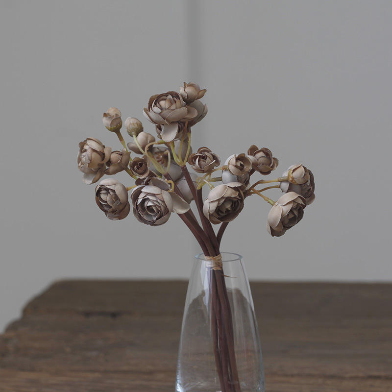 สีน้ำตาล