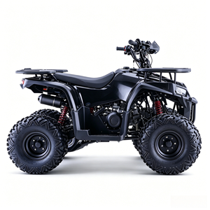 Quadricycle tout-terrain haute performance 110CC 125CC 140CC, 4,7-7,3KW pour adultes avec boîte de vitesses 1+1/3+1 - Product Image 3