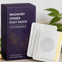 Patch Détoxifiant pour les Pieds à Base d'Armoise et de Gingembre, Personnalisé OEM/ODM, pour Soulager la Fatigue et Améliorer le Sommeil et la Santé