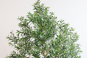 Piante di Ulivo Artificiali Realistiche, Grandi Alberi con Frutti Neri, Decorazione Verde per Soggiorno - Product Image 3