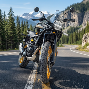 Motocicleta Enfield 450 Adventure de Calidad, LISTA PARA ENVIAR - Product Image 3