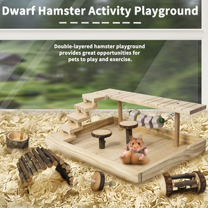 Plateforme d'activités en bois naturel pour hamsters et gerbilles, système <span class=keywords><strong>de</strong></span> gymnastique pour souris, accessoires <span class=keywords><strong>de</strong></span> cage d'exercice pour hamsters syriens - Product Image 2