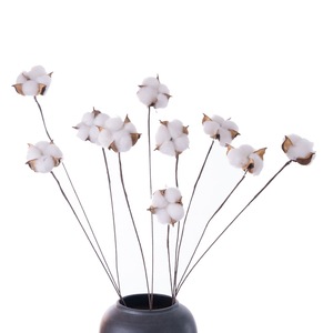 High Quality Indoor DIY Natural Dried <strong>Cotton</strong> <strong>Stems</strong> Single Branch Artificial <strong>Cotton</strong> Flower for Christmas Floral Decor Wholesale - Product Image 3