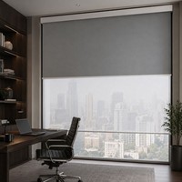Persianas Enrollables Inalámbricas Personalizadas Ilvia, Sistema de Cortinas Eléctricas Motorizadas, Persianas Dobles Día y Noche
