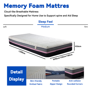 Lüks 3D Hafızalı Köpük Yatak Sıkıştırma Kutusu Çevre Dostu Nefes Alabilen Hipoalerjenik Modern Yatak Odası Okul Otel Villa - Product Image 6