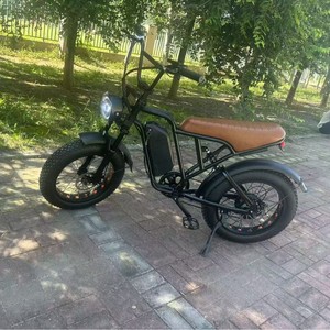 Vélo électrique pour adulte avec cadre en acier au carbone de 20 pouces, moteur arrière sans balais de 500 W, autonomie de 55 à 65 km, <span class=keywords><strong>batterie</strong></span> au plomb-acide de 13 Ah, conception amovible - Product Image 4