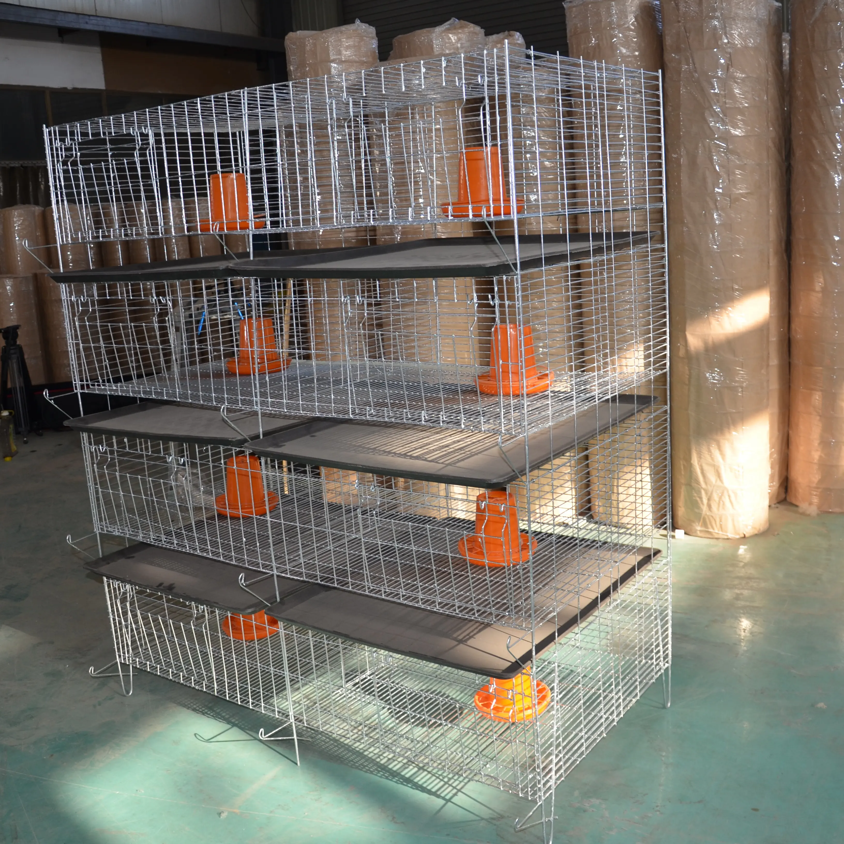 Tavuk projesi kuş kafesi 5000 tavuk satışı tavuk Broiler kafes