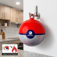 Boule extinctrice automatique 0,5 kg, classe ABCEF, à poudre sèche, murale, fabrication ODM directe d'usine