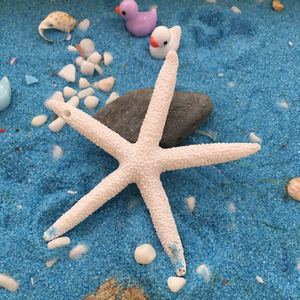 Produttori fornitura diretta resina <span class=keywords><strong>stella</strong></span> marina stile mediterraneo acquario decorazione in resina artigianato - Product Image 6