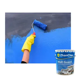 Pady película protetora de pintura, revestimento líquido hidrofóbico exterior, de silicone, emulsão de acrílico