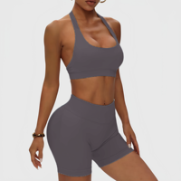 Ensemble de vêtements de sport pour femmes YIAN 0301+0307, soutien-gorge halter et shorts, ensembles de yoga, ensembles de fitness, vêtements de sport, vêtements de yoga sans couture