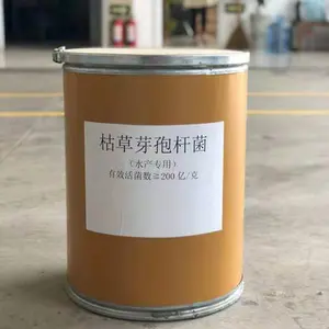 Probiotic Natto Bacillus Subtilis Price Food Grade Pure Bacillus Subtilis Powder For Aquaculture