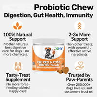 Friandises à Mâcher Souples Probiotiques Intestinales 100% Naturelles Sans Céréales Sous Marque Blanche pour Chiens et Chats – Soutien Immunitaire et Soin de Santé