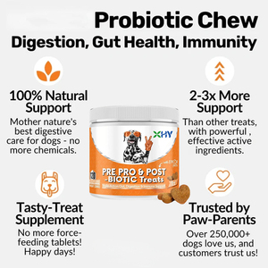 Friandises à Mâcher Molles Probiotiques Intestinales 100% Naturelles Sans Céréales Sous Marque Blanche pour Chiens et Chats – Complément Alimentaire pour la Santé - Product Image 4