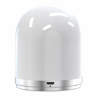 Petite veilleuse 3D avec commande tactile et télécommande, lampe décorative LED en cuivre