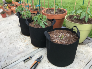 Bac de culture de légumes, pot de semis pour arbres, pot de fleurs en tissu, 100 gallons, 1 2 3 5 10 15 gal - Product Image 3