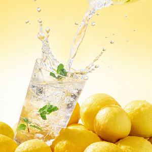 पेय पदार्थों के लिए नींबू पेशेवर सिरप निर्माता, स्वाद, रंग और पैकेजिंग - Product Image 5