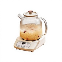 Marmite Électrique Multifonctionnelle en Verre 1-1,5L – Mini Infuseur à Thé pour Maison, Camping-Car, Voiture, Utilisation Extérieure – Idéale pour Mijoter, Faire Bouillir et Préparer des Décoctions Herbales