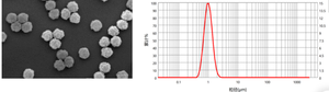 Perles magnétiques avec groupes fonctionnels carboxyliques pour l'accouplement biomoléculaire, l'immunoanalyse et le diagnostic - Product Image 2