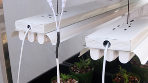 ONE-one Rolling Wheels Moving Easy Grow Yield Lettuce Vegetable Seeding Indoor Hydroponic Setup Nft Rack for Plants - Product Image 6