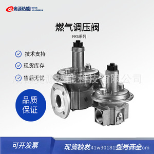 Vanne de réduction de pression Dungs FRS503 1/2 pouce pour brûleur de chaudière, vanne de régulation de gaz - Product Image 5