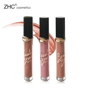 ZH3097 Juego de lápiz labial de alto pigmento Brillo de labios multicolor Cosméticos de moda Juegos de maquillaje - Product Image 4
