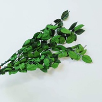 Tige de rose longue conservée pour décoration/maison/arrangement floral de mariage sur INS, offre spéciale 2022