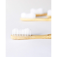 Cepillo de dientes de bambú ecológico, orgánico, sin BPA, personalizado al por mayor, con estuche de carbón, etiqueta privada y logotipo.
