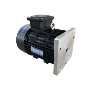 BLDC Motor 48V 2.5KW 2800RPM Brushless DC Motor for DC Hydraulic Pump